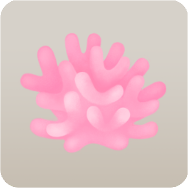 薄ピンク色の珊瑚