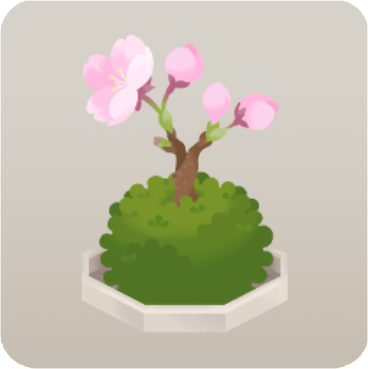 桜の苔玉盆栽
