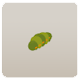 モンシロチョウの幼虫